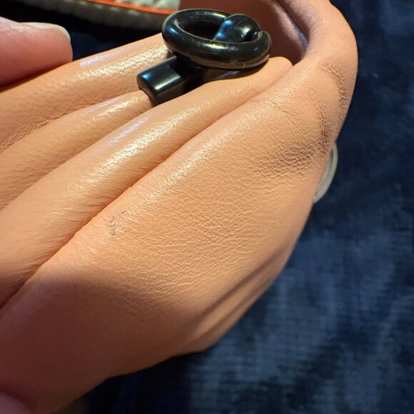 Coach Pink Mini Bag with Signature Logo - Picture 11 of 12